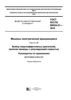 GOST IEC/TS 60034-31-2015