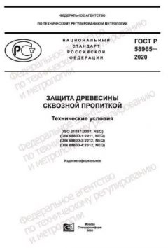 GOST R 58965-2020