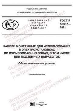 GOST R 59387-2021
